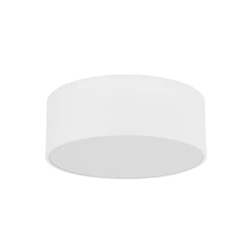 Livo TK-10983 mennyezeti lámpa