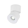 Spark TK-18168 mennyezeti spotlámpa
