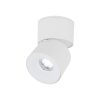 Spark TK-18168 mennyezeti spotlámpa