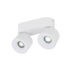 Spark TK-18171 mennyezeti spotlámpa