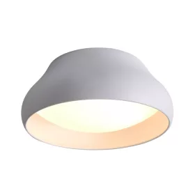 Paddy Pl1 Klausen-100011 mennyezeti lámpa