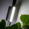 Slim Track Light 6W Klausen-KL181000 spotlámpa