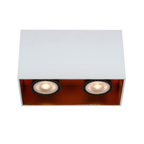 Bido Lucide-22966-02-31 spotlámpa