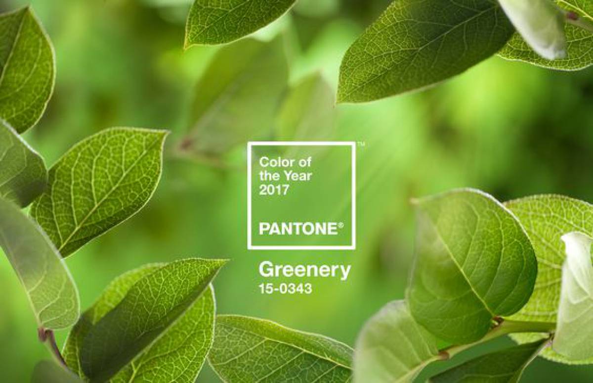 „Greenery 2017” A Pantone szerint a reményteli lombzöld lesz az év színe