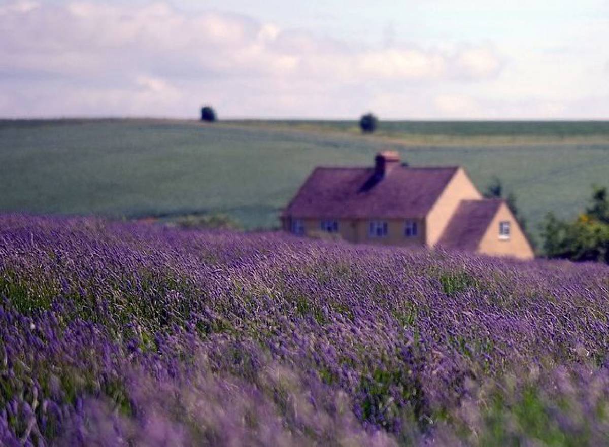 Vidéki hangulat: avagy mi is az a Provence-i stílus?